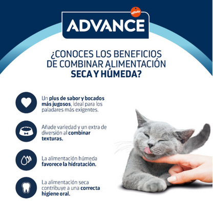 Advance Cat Bocaditos en Salsa para Gatos Adultos con Pollo - 85 g ADVANCE Mascotas-Ávila