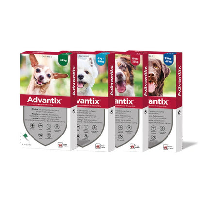 Advantix Pipetas Antiparasitarias Pack 4 para Perros ADVANTIX Mascotas-Ávila