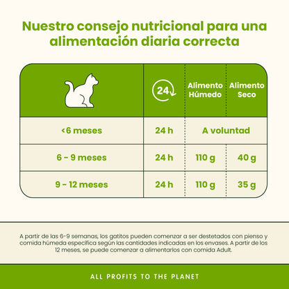 Almo Nature Daily Kitty Menú Mousse en Lata para Gatitos 85 g ALMO NATURE Mascotas-Ávila