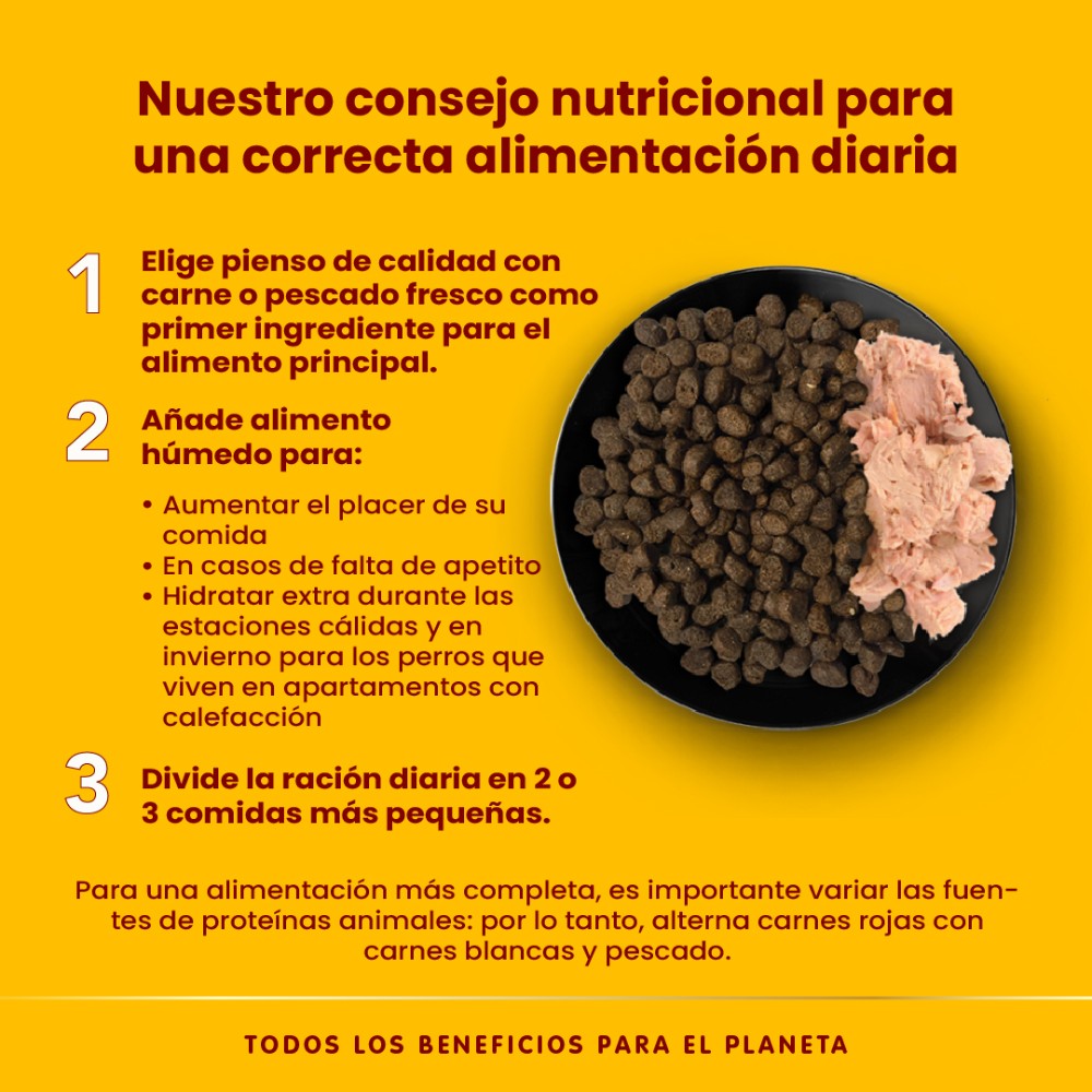 Almo Nature HFC Natural 290 g Comida Húmeda para Perros ALMO NATURE Mascotas-Ávila