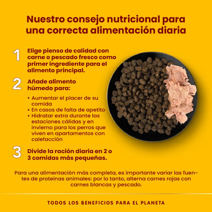 Almo Nature HFC Natural 290 g Comida Húmeda para Perros ALMO NATURE Mascotas-Ávila