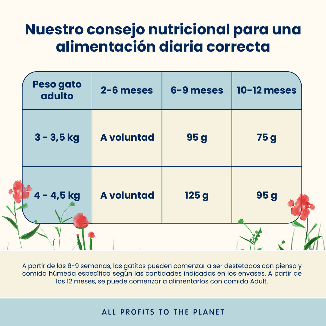 Almo Nature Kitten Pollo Pienso para Gatos ALMO NATURE Mascotas-Ávila