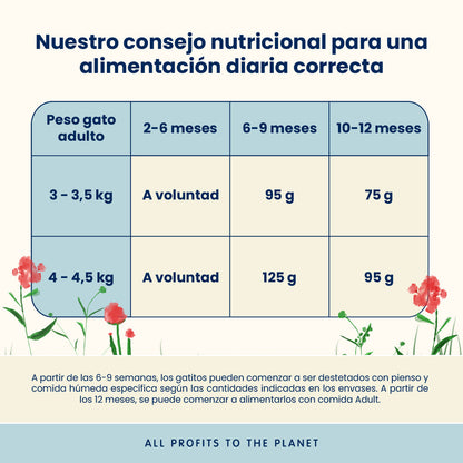 Almo Nature Kitten Pollo Pienso para Gatos ALMO NATURE Mascotas-Ávila