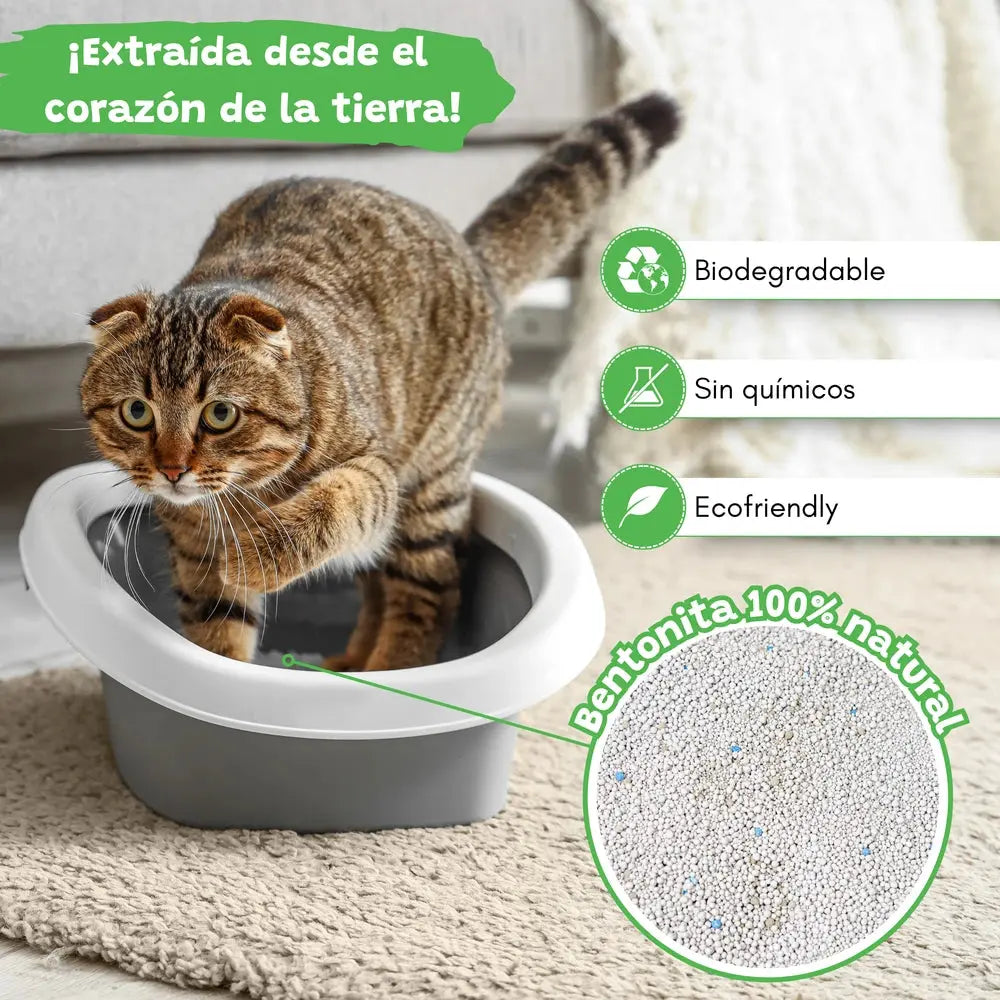 Arena Aglomerante para Gatos Aloe Vera 10L Catter Litter CATTER LITTER Mascotas-Ávila