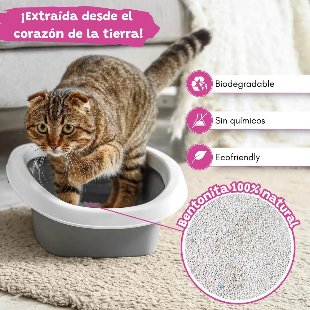 Arena Aglomerante para Gatos Baby Polvos de Talco 10L Catter Litter CATTER LITTER Mascotas-Ávila