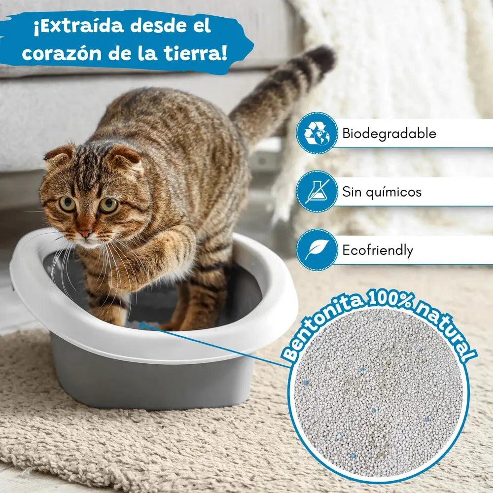 Arena Aglomerante para Gatos Efecto Carbón Activo Catter Litter CATTER LITTER Mascotas-Ávila