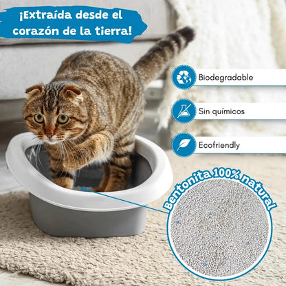 Arena Aglomerante para Gatos Efecto Carbón Activo Catter Litter CATTER LITTER Mascotas-Ávila