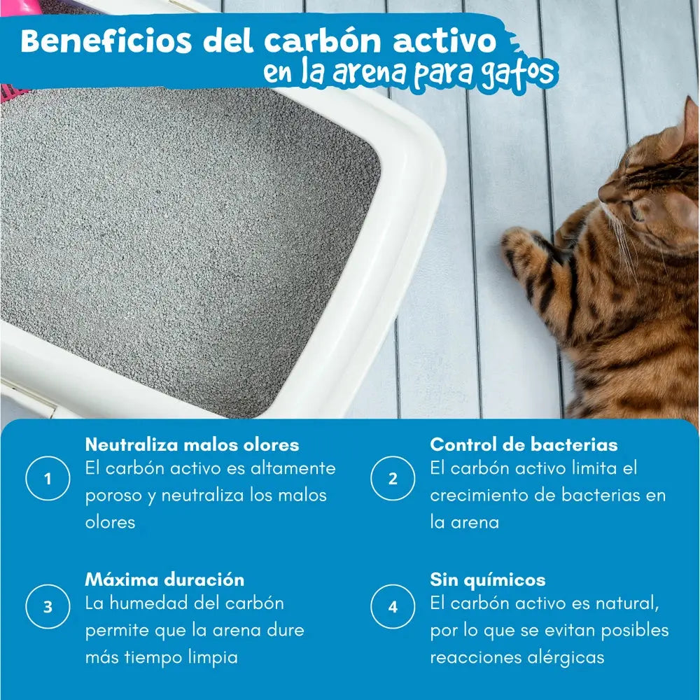Arena Aglomerante para Gatos Efecto Carbón Activo Catter Litter CATTER LITTER Mascotas-Ávila