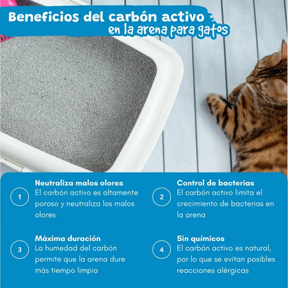 Arena Aglomerante para Gatos Efecto Carbón Activo Catter Litter CATTER LITTER Mascotas-Ávila