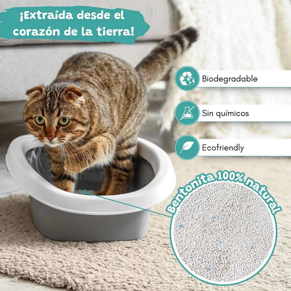 Arena Aglomerante para Gatos Marsella 10L Catter Litter CATTER LITTER Mascotas-Ávila