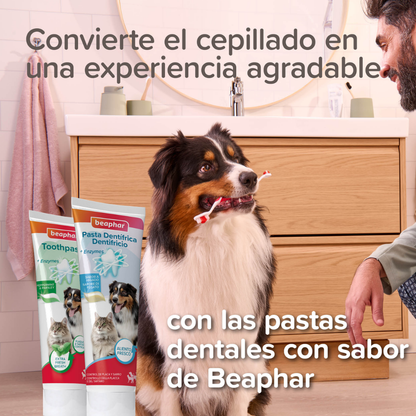 Beaphar Cepillo de Dientes Doble Cabezal para Perros y Gatos de Todos los Tamaños BEAPHAR Mascotas-Ávila