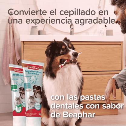 Beaphar Cepillo de Dientes Ecológico de Bambú con Doble Cabezal para Perros y Gatos BEAPHAR Mascotas-Ávila