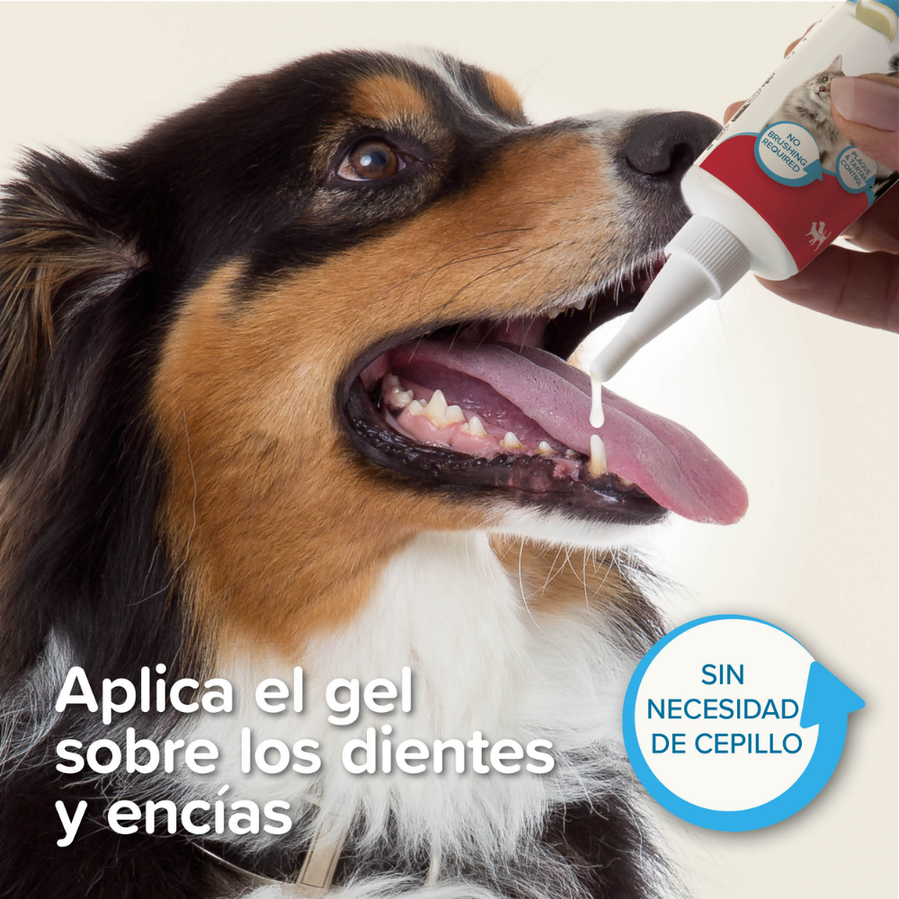 Beaphar Gel Dental para Perros y Gatos 100 g BEAPHAR Mascotas-Ávila