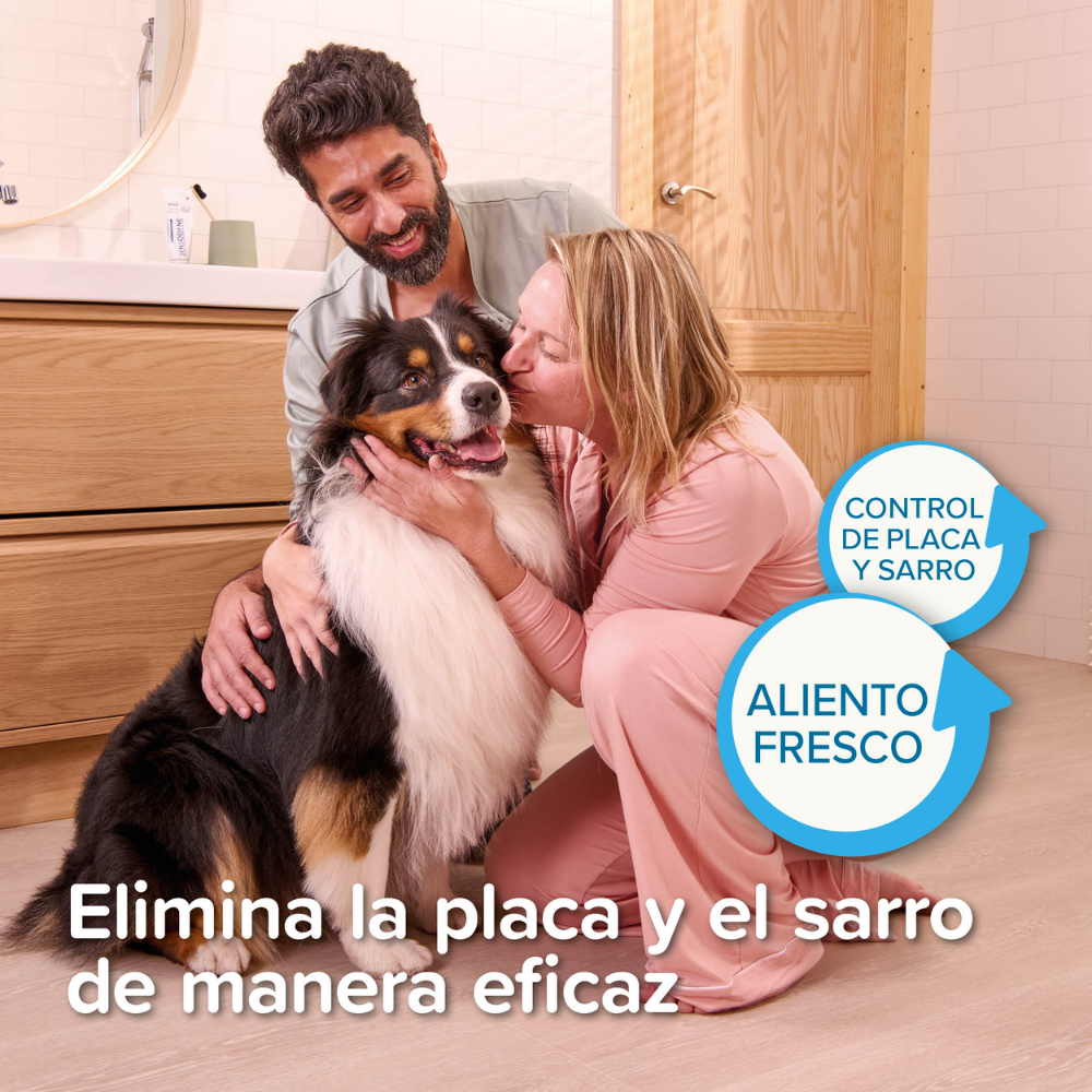 Beaphar Gel Dental para Perros y Gatos 100 g BEAPHAR Mascotas-Ávila
