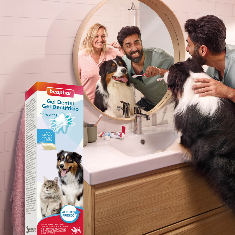 Beaphar Gel Dental para Perros y Gatos 100 g BEAPHAR Mascotas-Ávila