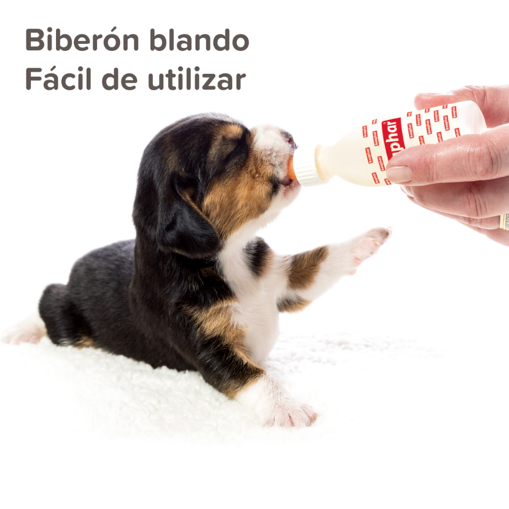 Beaphar Kit Lactol Biberon + 4 Tetinas + Limpiador BEAPHAR Mascotas-Ávila