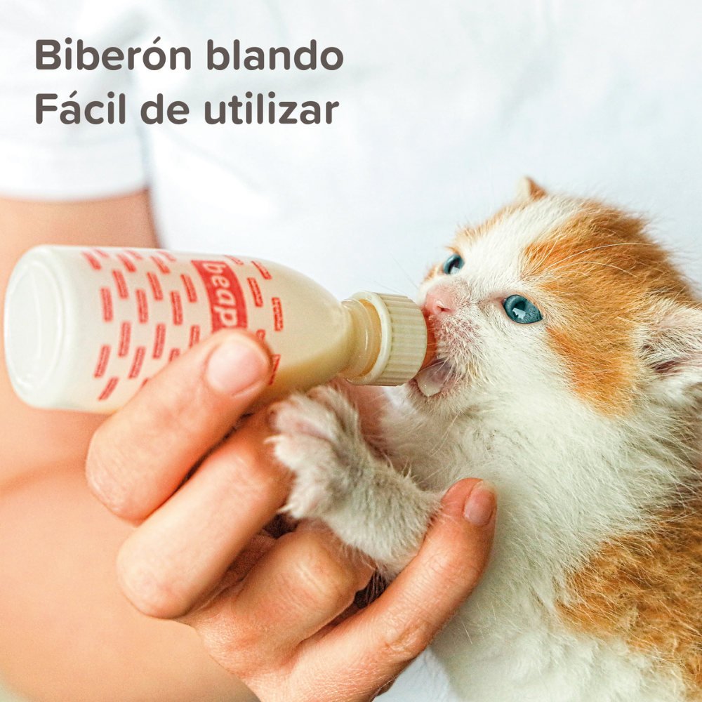 Beaphar Kit Lactol Biberon + 4 Tetinas + Limpiador BEAPHAR Mascotas-Ávila