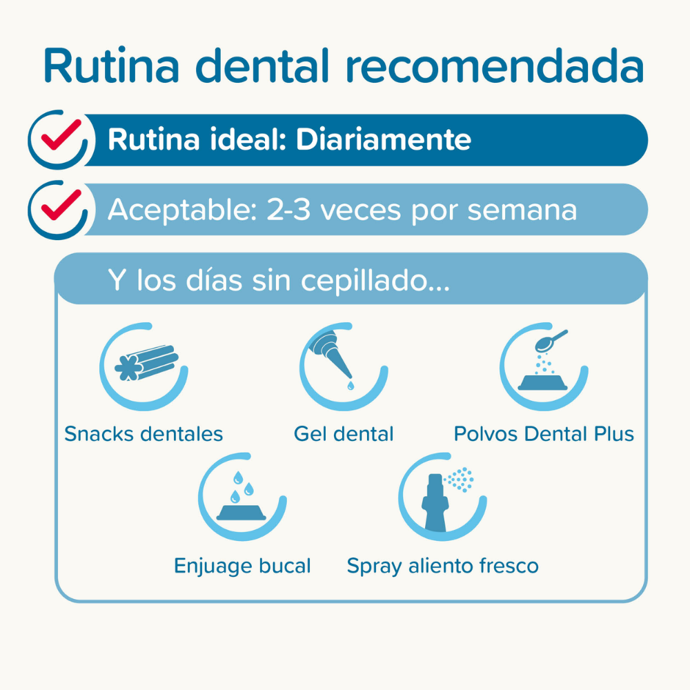 Beaphar Pack Cepillo Dental y Pasta Dentífrica 100 g para Perros y Gatos BEAPHAR Mascotas-Ávila
