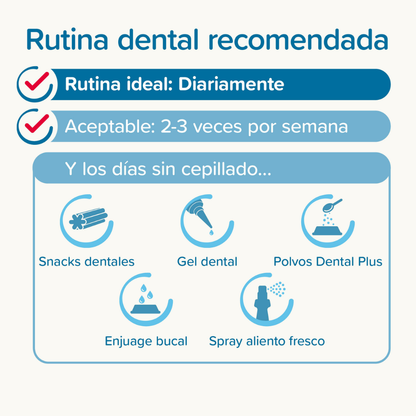 Beaphar Pack Cepillo Dental y Pasta Dentífrica 100 g para Perros y Gatos BEAPHAR Mascotas-Ávila