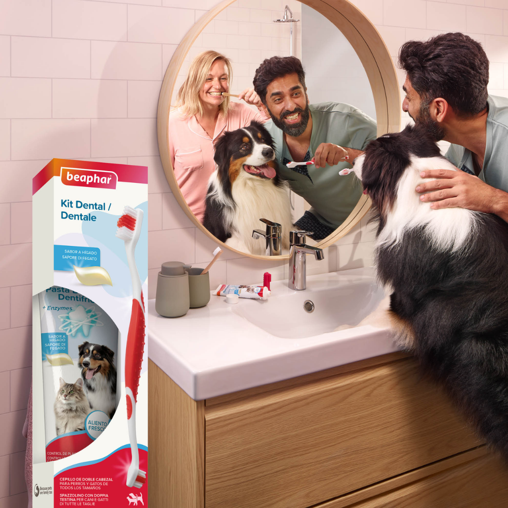 Beaphar Pack Cepillo Dental y Pasta Dentífrica 100 g para Perros y Gatos BEAPHAR Mascotas-Ávila