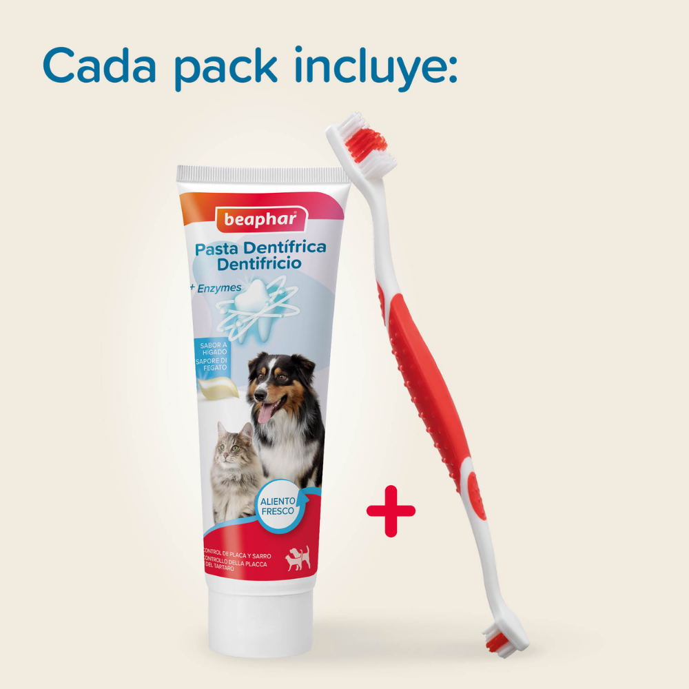 Beaphar Pack Cepillo Dental y Pasta Dentífrica 100 g para Perros y Gatos BEAPHAR Mascotas-Ávila