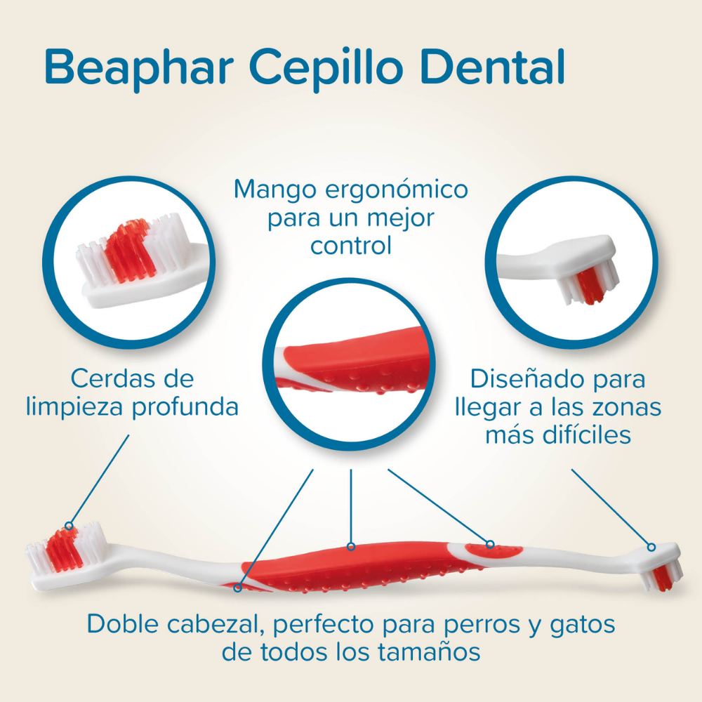 Beaphar Pack Cepillo Dental y Pasta Dentífrica 100 g para Perros y Gatos BEAPHAR Mascotas-Ávila