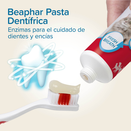 Beaphar Pack Cepillo Dental y Pasta Dentífrica 100 g para Perros y Gatos BEAPHAR Mascotas-Ávila