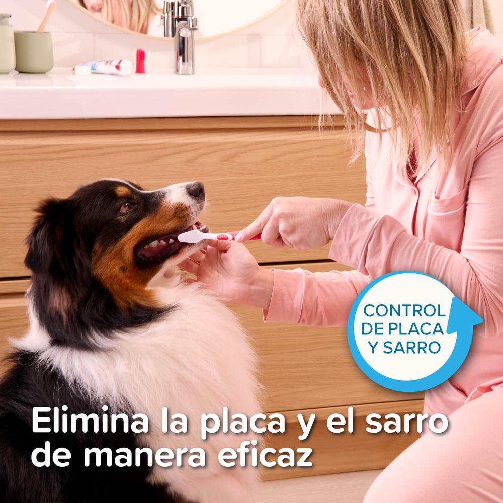 Beaphar Pack Cepillo Dental y Pasta Dentífrica 100 g para Perros y Gatos BEAPHAR Mascotas-Ávila