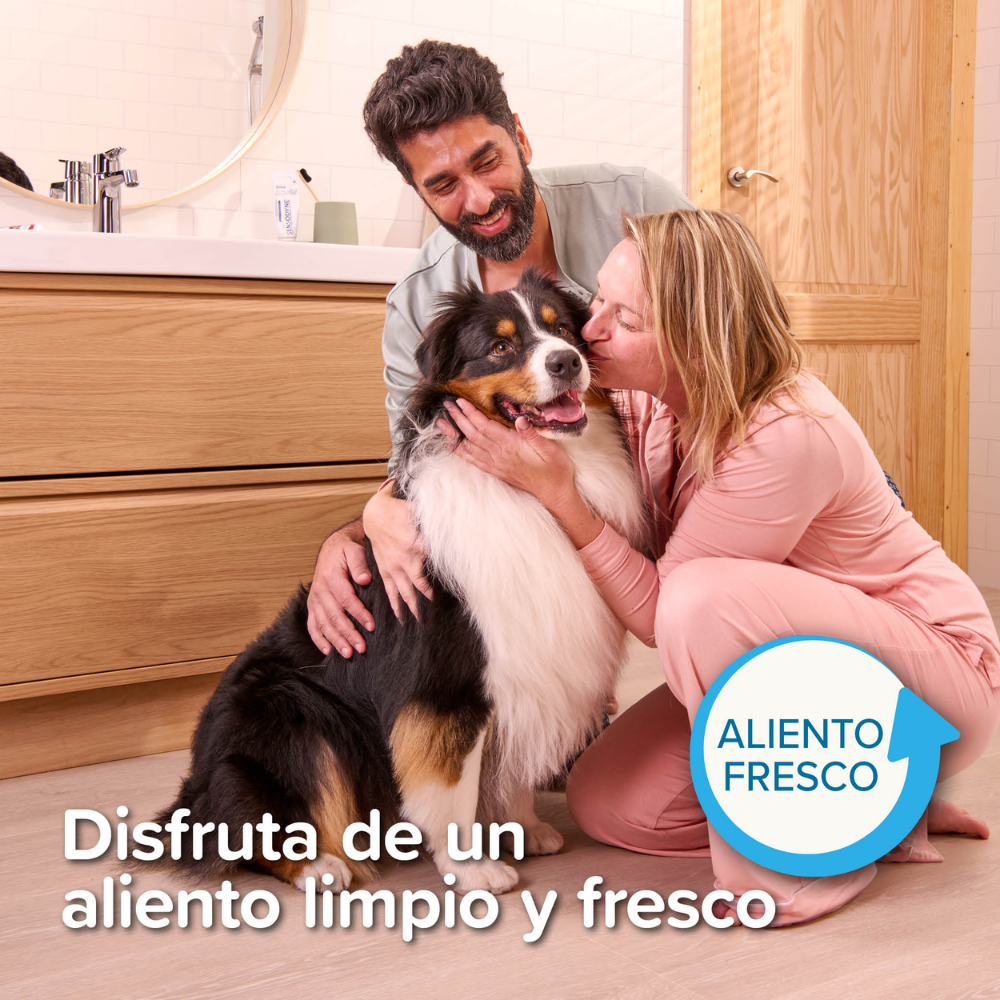 Beaphar Pack Cepillo Dental y Pasta Dentífrica 100 g para Perros y Gatos BEAPHAR Mascotas-Ávila