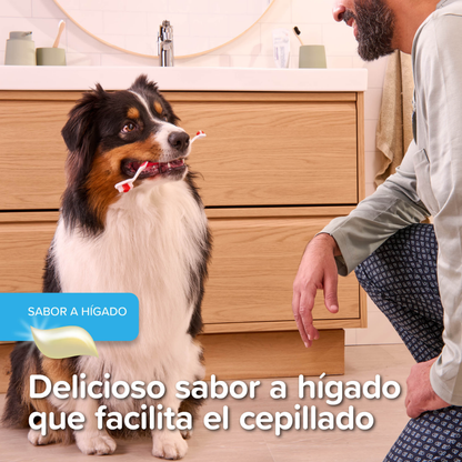 Beaphar Pack Cepillo Dental y Pasta Dentífrica 100 g para Perros y Gatos BEAPHAR Mascotas-Ávila