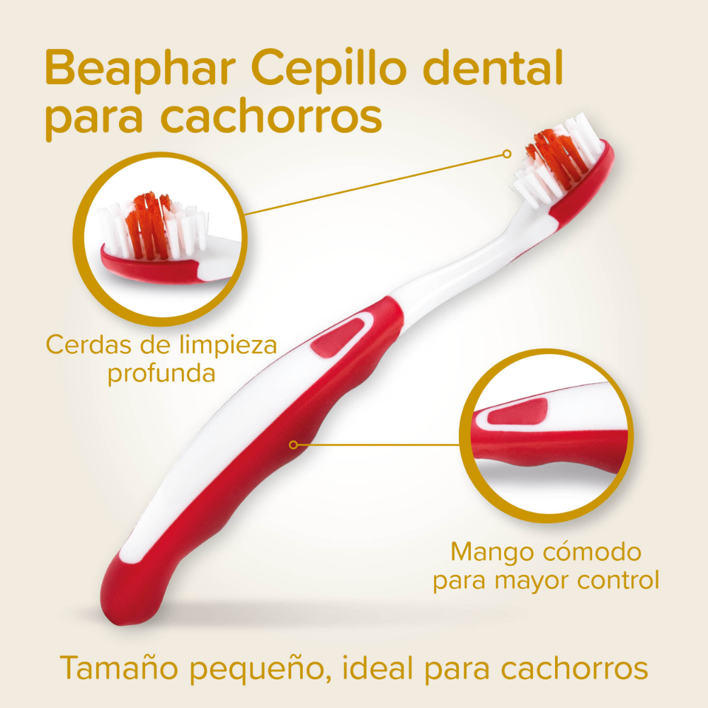 Beaphar Pack Dental para Cachorros | Pasta de Dientes + Cepillo + Cepillo de Dedo BEAPHAR Mascotas-Ávila