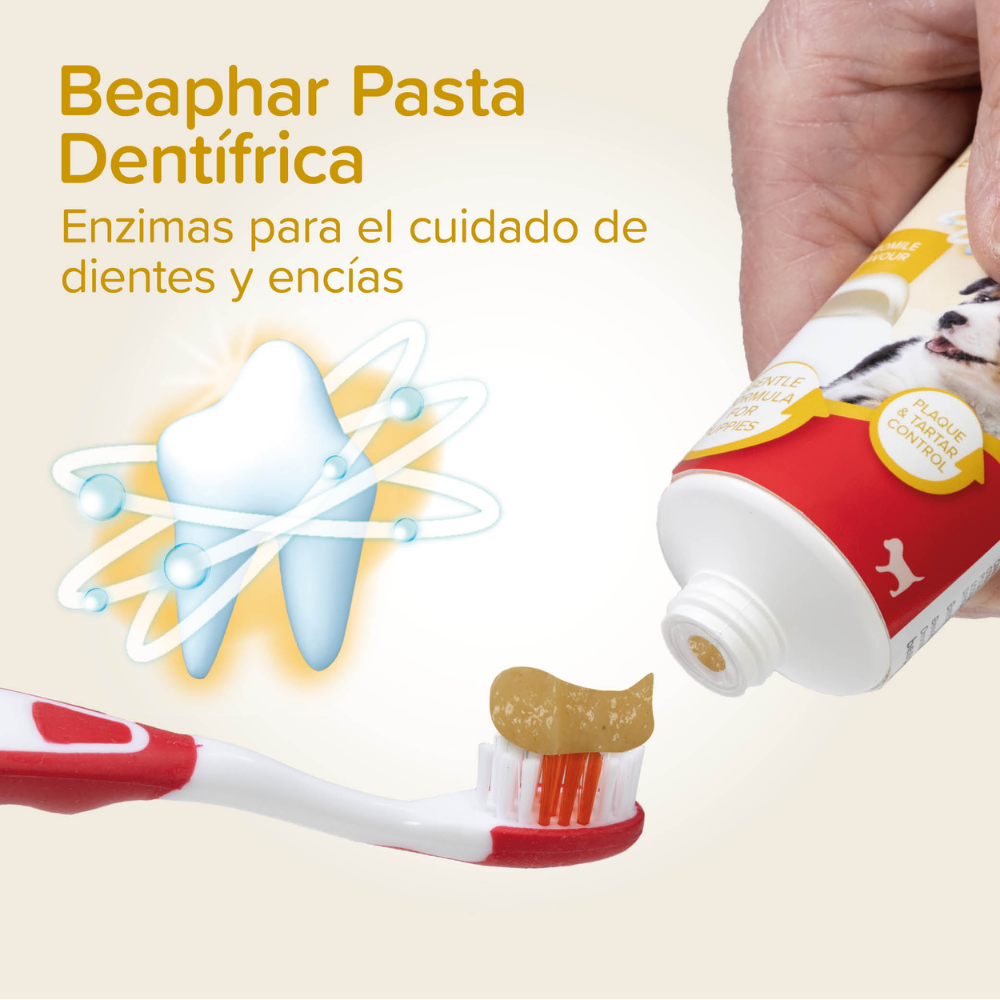 Beaphar Pack Dental para Cachorros | Pasta de Dientes + Cepillo + Cepillo de Dedo BEAPHAR Mascotas-Ávila