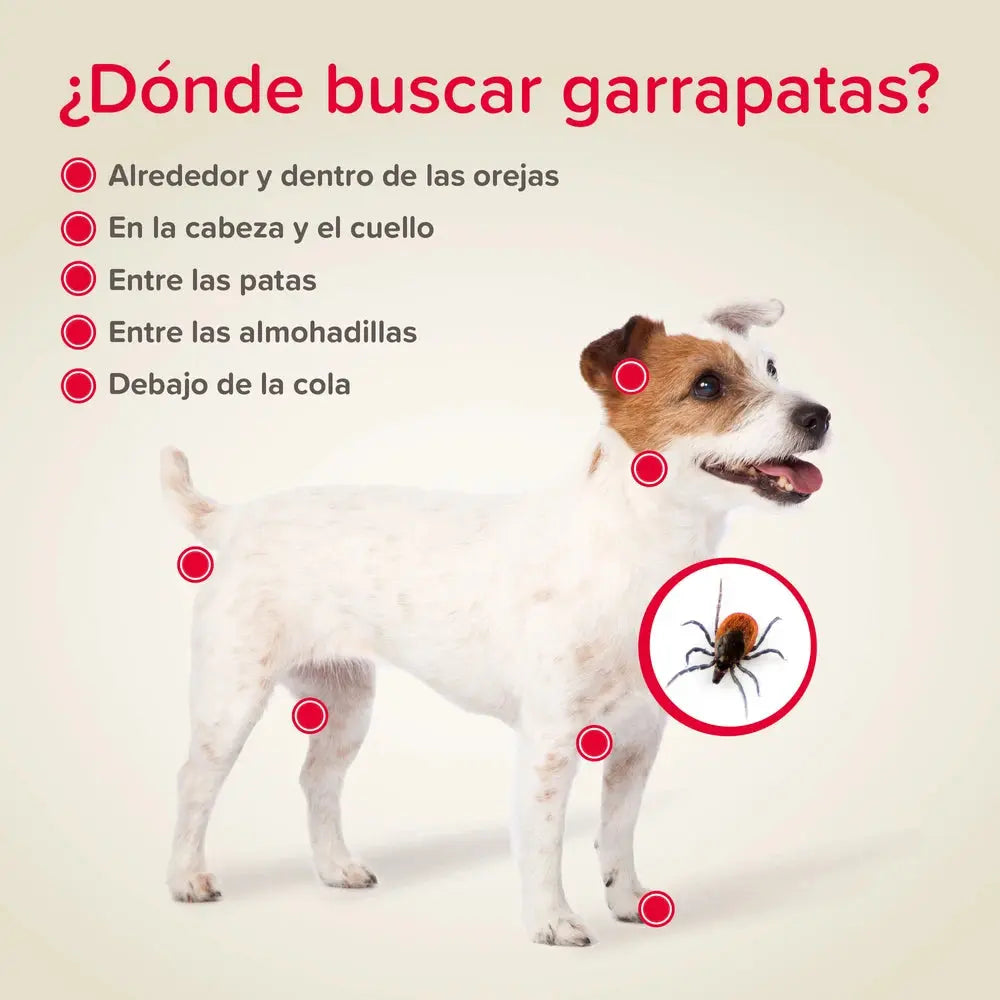 Beaphar Pinza Quita Garrapatas para Perros y Gatos BEAPHAR Mascotas-Ávila