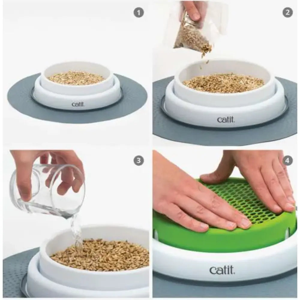 Catit Senses 2.0 Cat Grass Kit 3Pc Recarga CATIT Mascotas-Ávila