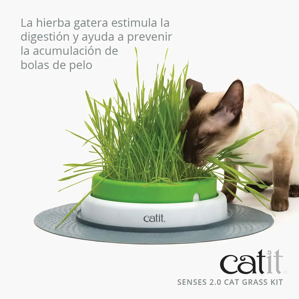 Catit Senses 2.0 Cat Grass Kit 3Pc Recarga CATIT Mascotas-Ávila