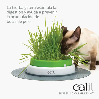 Catit Senses 2.0 Cat Grass Kit 3Pc Recarga CATIT Mascotas-Ávila