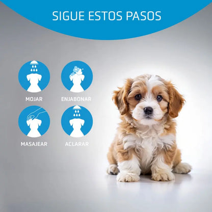 Champú Baby para Perros 250 ml Artero ARTERO Mascotas-Ávila