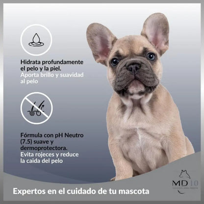 Champú Bulldog Frances 300ml Md10 MD10 Mascotas-Ávila