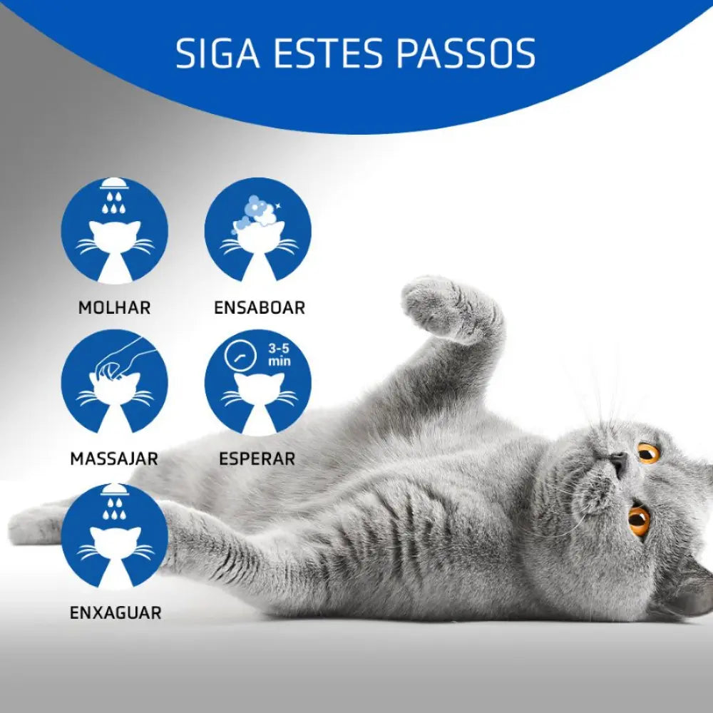 Champú Gato 250 ml 4 Cats Artero ARTERO Mascotas-Ávila
