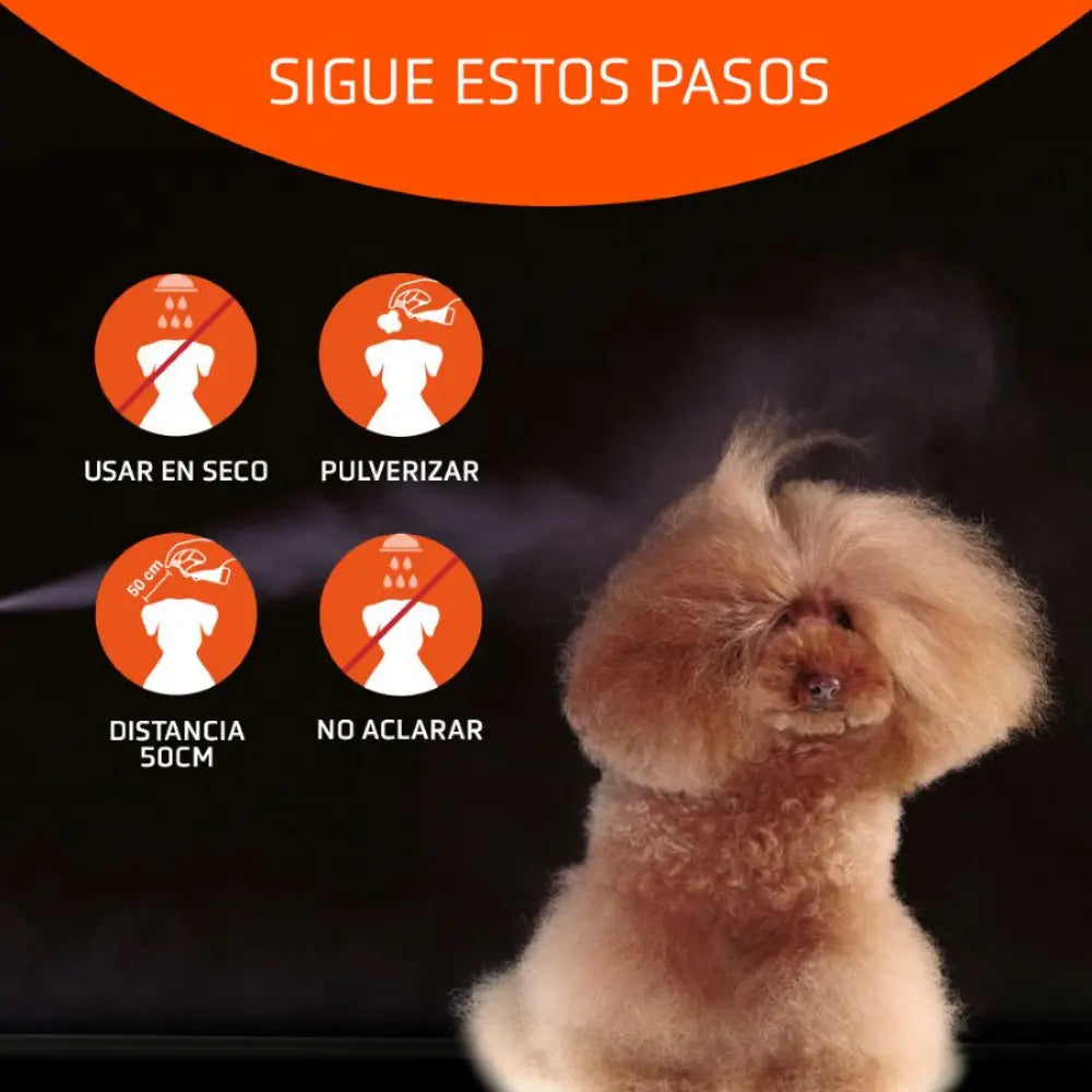 Champú Seco Higiene Speed 300 ml Artero ARTERO Mascotas-Ávila
