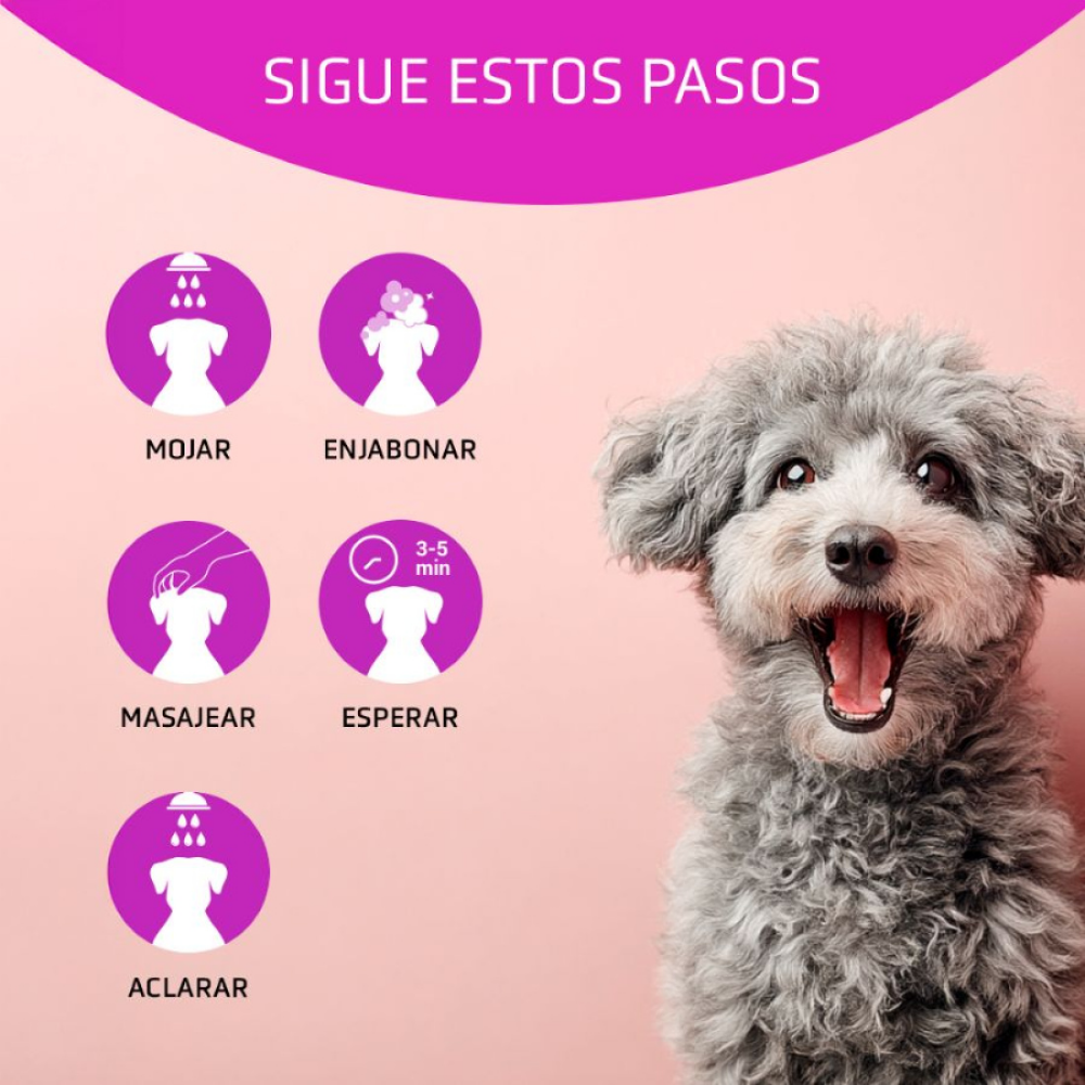 Champú Vitalizante para Perros 250 ml Artero ARTERO Mascotas-Ávila