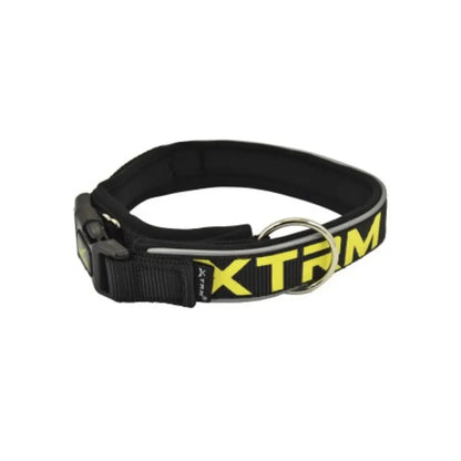 Collar X-Trm Neon Flash NAYECO Mascotas-Ávila