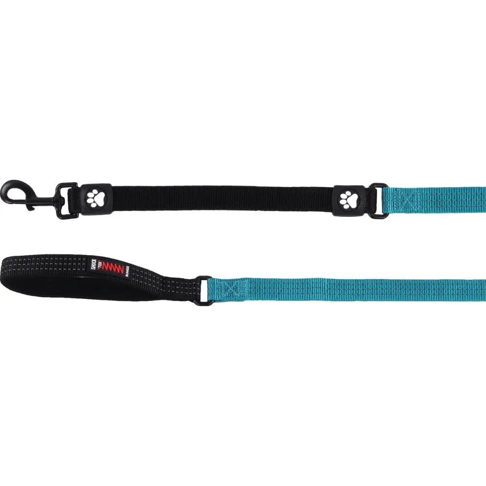 Correa Elastica Zorba Turquesa 130 cm 25Mm FLAMINGO Mascotas-Ávila