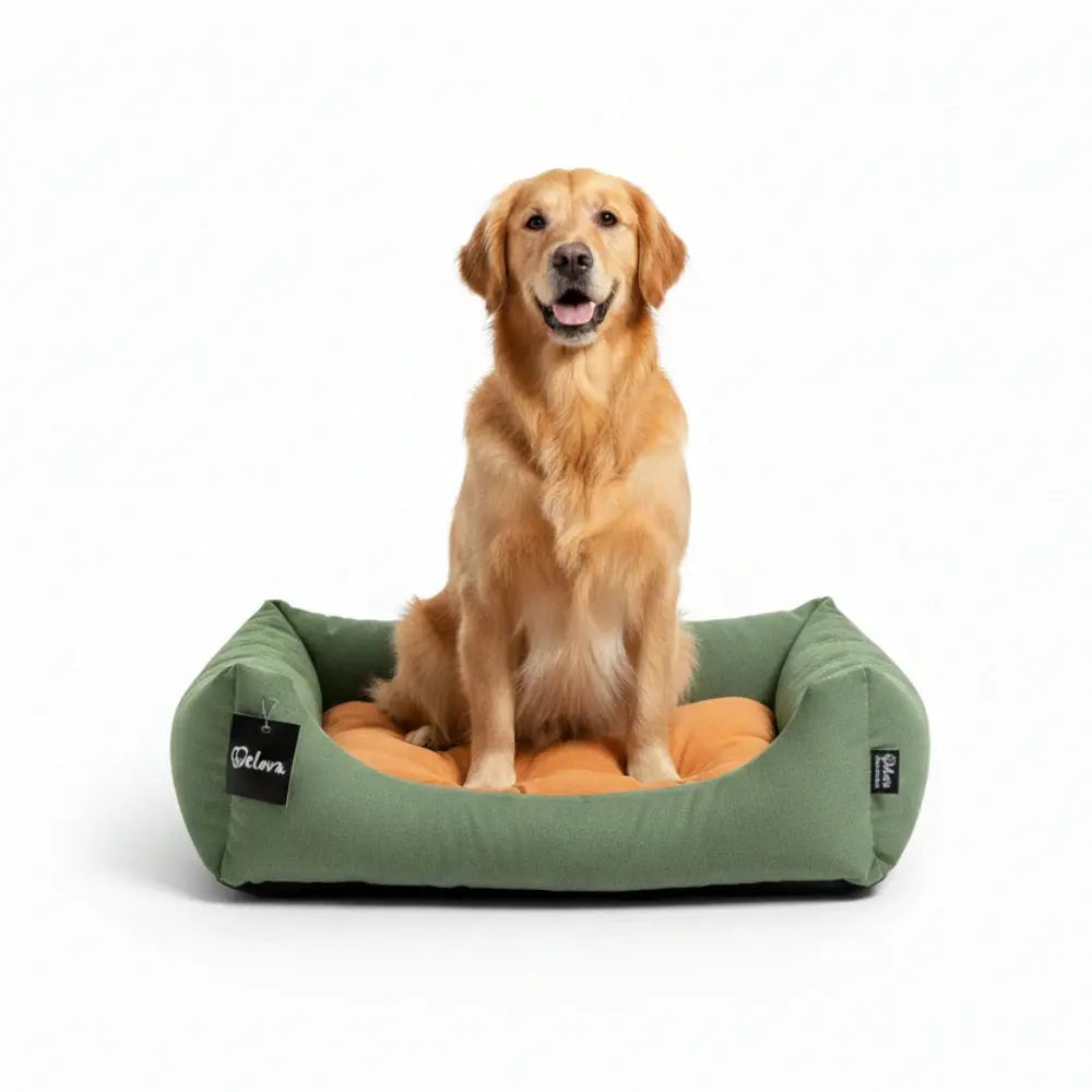 Cuna para Perros Gulliver Welova WELOVA Mascotas-Ávila
