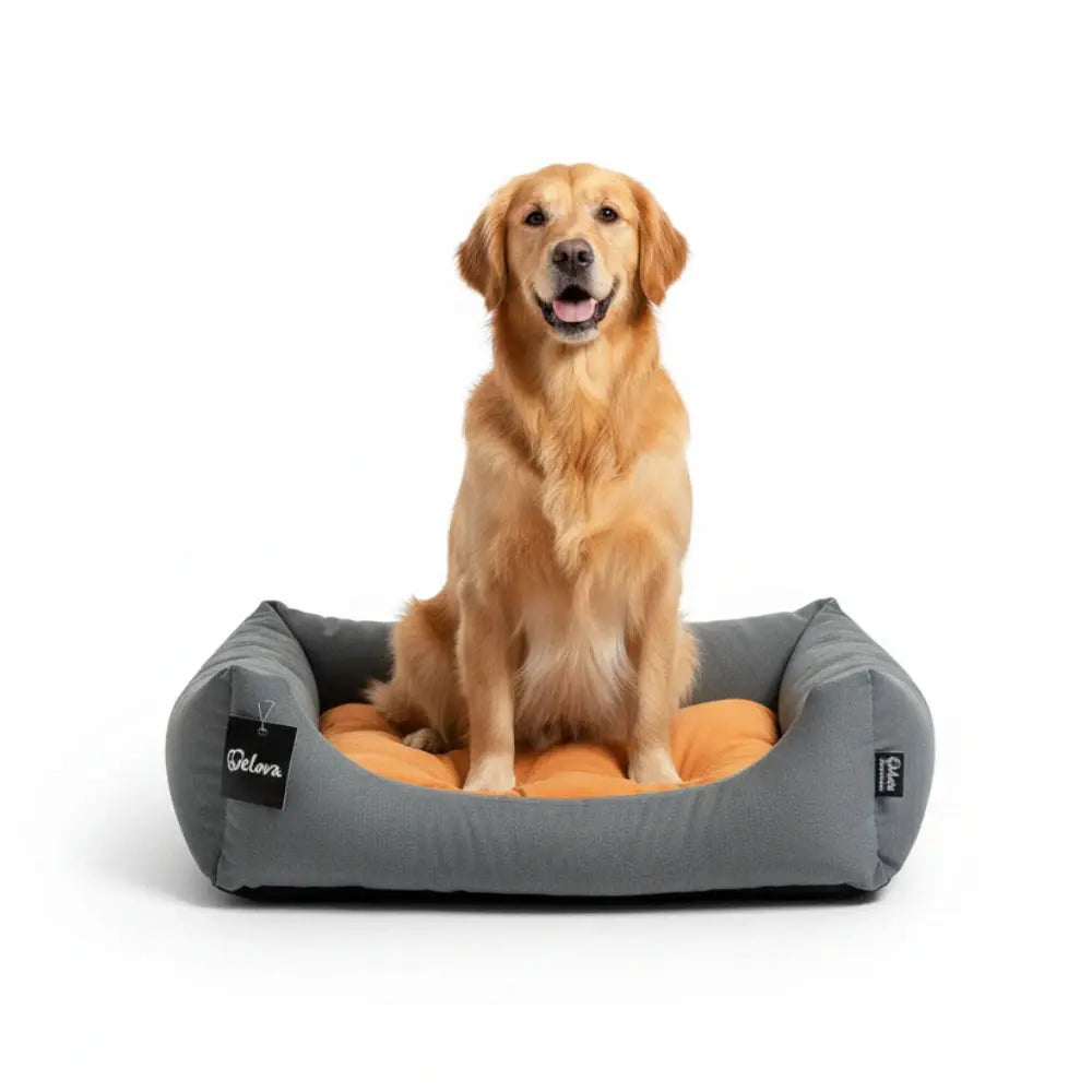 Cuna para Perros Gulliver Welova WELOVA Mascotas-Ávila