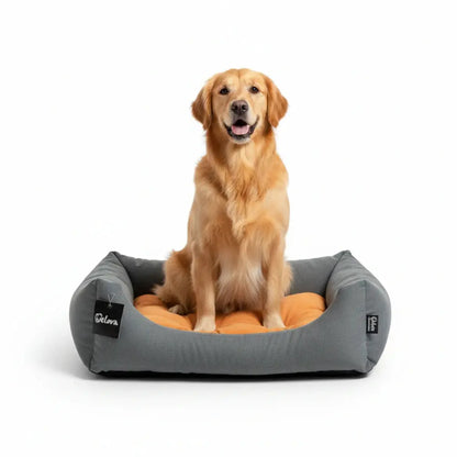 Cuna para Perros Gulliver Welova WELOVA Mascotas-Ávila