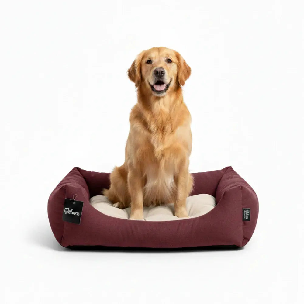 Cuna para Perros Gulliver Welova WELOVA Mascotas-Ávila