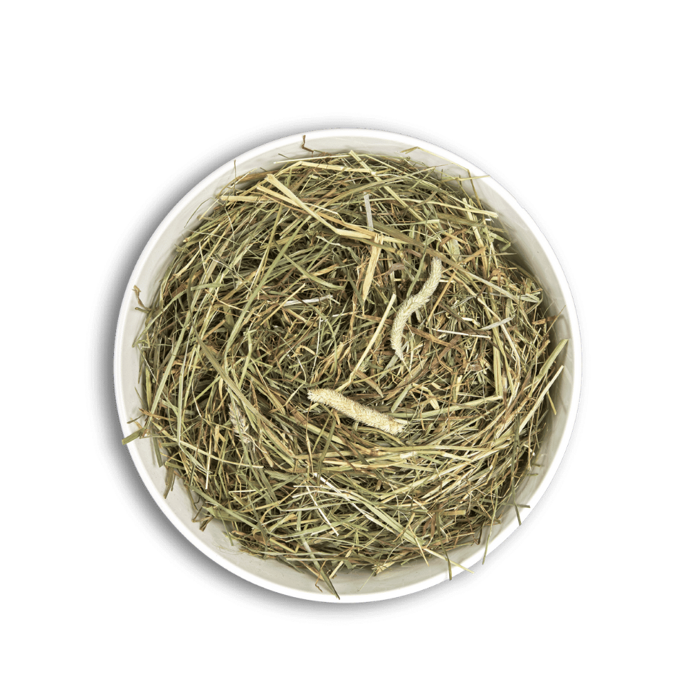 Cunipic Heno Fibra 1 kg CUNIPIC Mascotas-Ávila