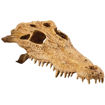 Decoracion Terrarios Exo Terra Cocodrile Skull EXOTERRA Mascotas-Ávila