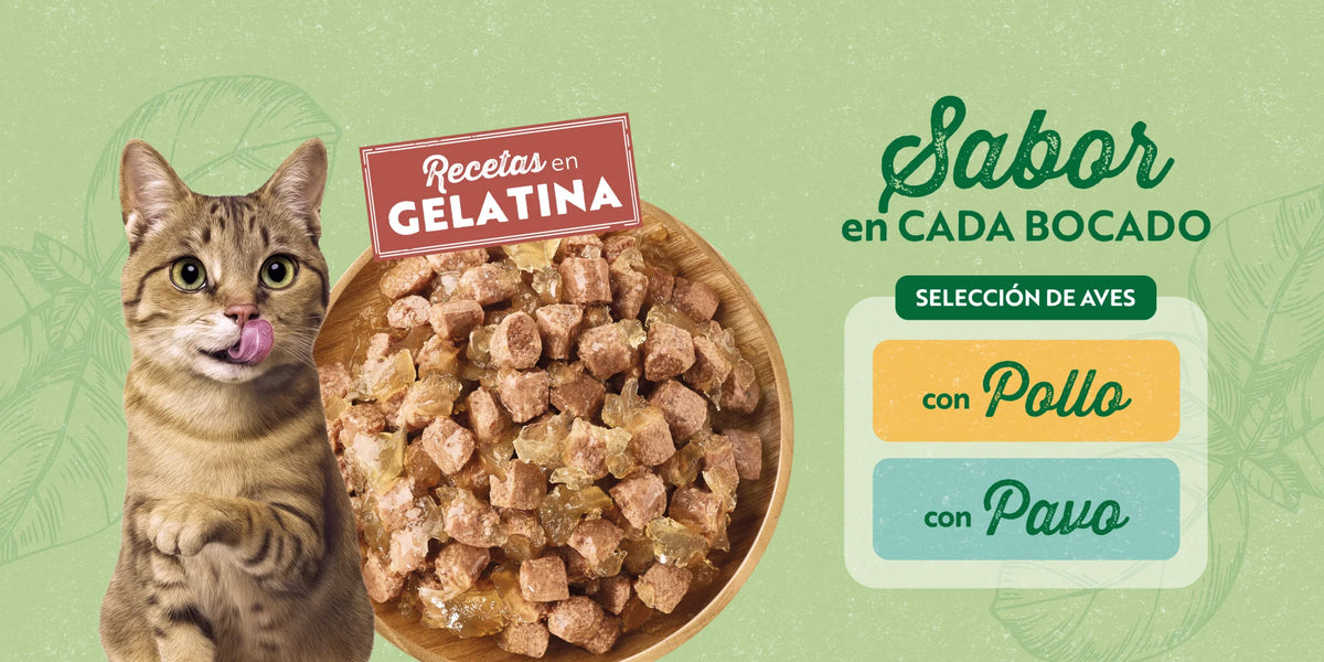 Banner promocional Libra Paté en Gelatina de Pollo y Pavo Comida Húmeda para Gatos